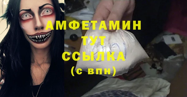 амф Вяземский
