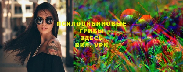 амф Вяземский