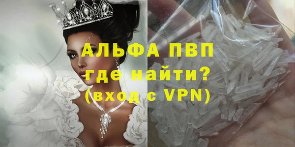 амф Вяземский
