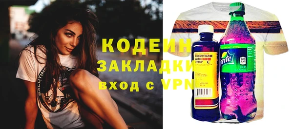 амф Вяземский