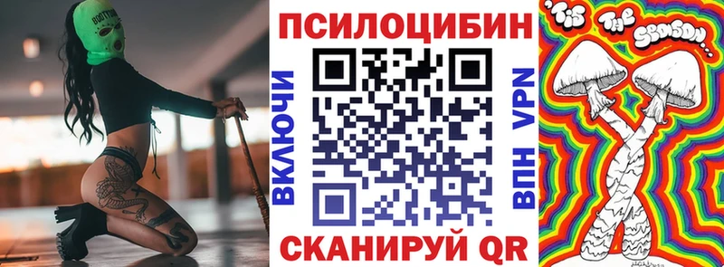 Купить закладки  Щучье  Псилоцибиновые грибы Cubensis 